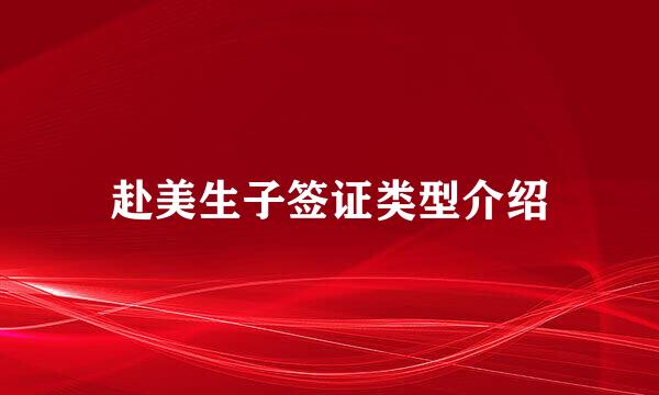 赴美生子签证类型介绍