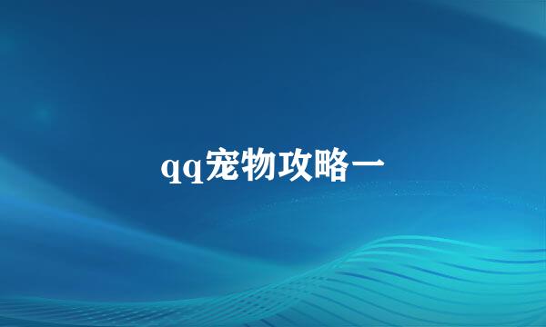 qq宠物攻略一