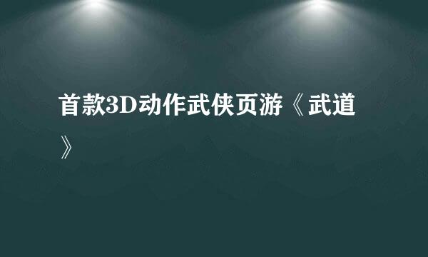 首款3D动作武侠页游《武道》