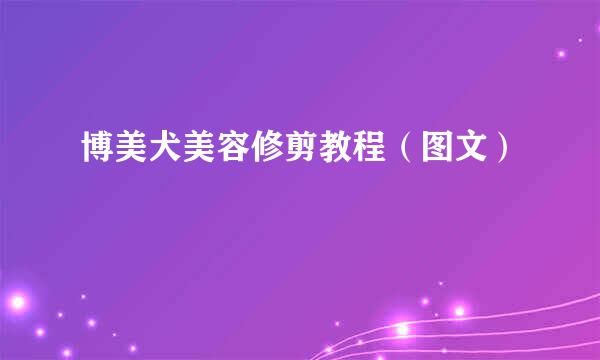 博美犬美容修剪教程（图文）