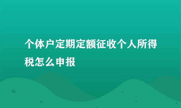 个体户定期定额征收个人所得税怎么申报