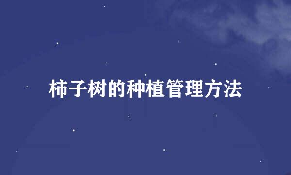 柿子树的种植管理方法