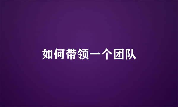 如何带领一个团队