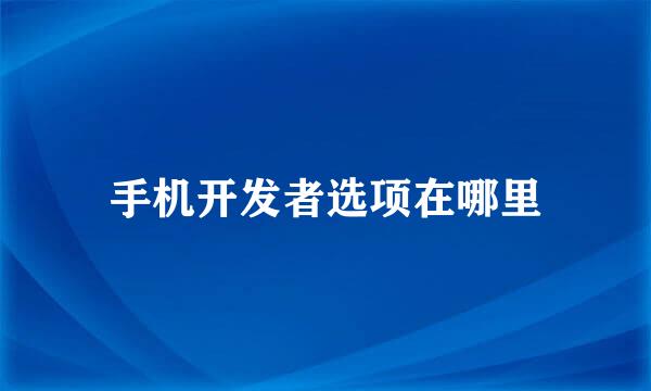 手机开发者选项在哪里