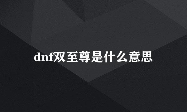 dnf双至尊是什么意思