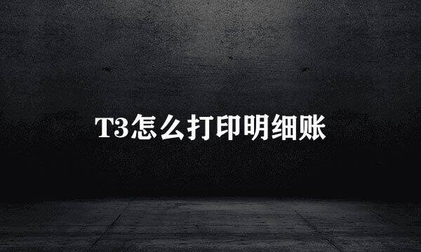 T3怎么打印明细账