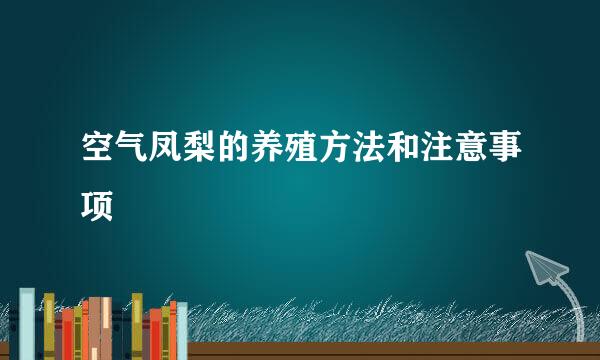 空气凤梨的养殖方法和注意事项
