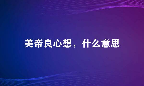 美帝良心想，什么意思