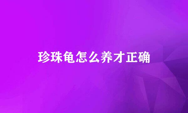 珍珠龟怎么养才正确