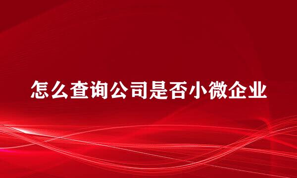 怎么查询公司是否小微企业