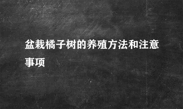 盆栽橘子树的养殖方法和注意事项