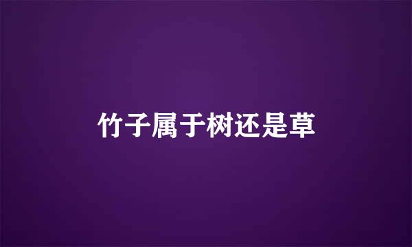 竹子属于树还是草