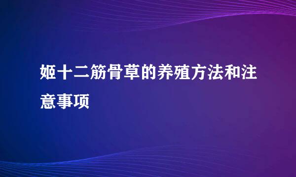姬十二筋骨草的养殖方法和注意事项