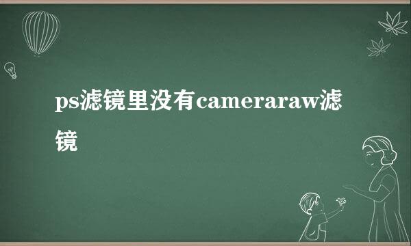ps滤镜里没有cameraraw滤镜
