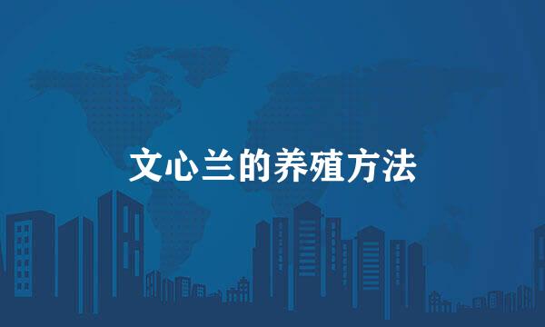 文心兰的养殖方法