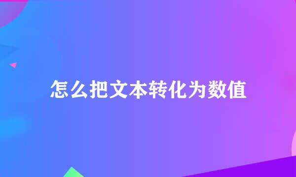 怎么把文本转化为数值