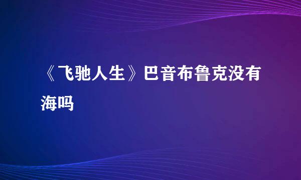 《飞驰人生》巴音布鲁克没有海吗