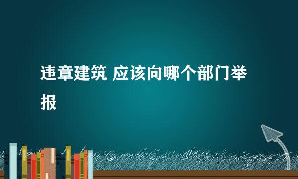 违章建筑 应该向哪个部门举报