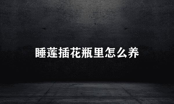 睡莲插花瓶里怎么养