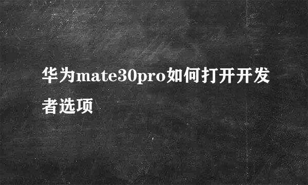 华为mate30pro如何打开开发者选项