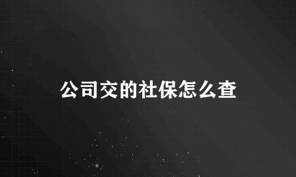 公司交的社保怎么查