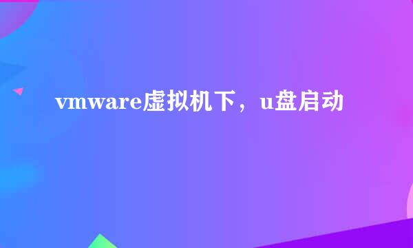vmware虚拟机下，u盘启动
