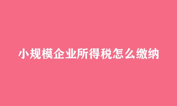 小规模企业所得税怎么缴纳