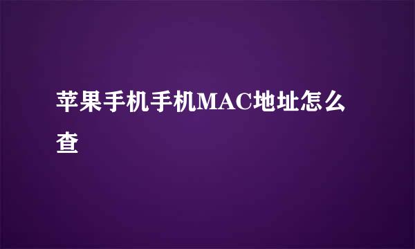 苹果手机手机MAC地址怎么查
