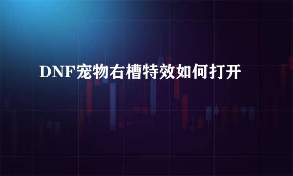 DNF宠物右槽特效如何打开