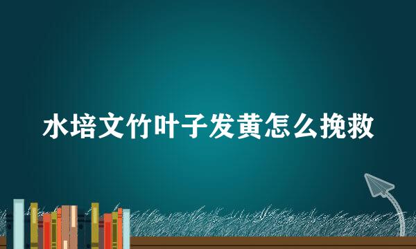 水培文竹叶子发黄怎么挽救