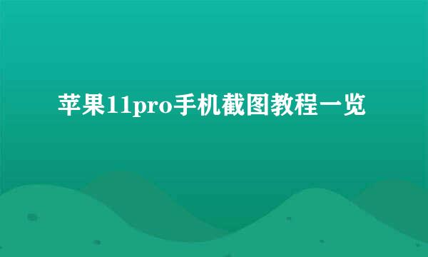 苹果11pro手机截图教程一览