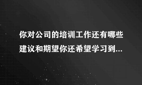 你对公司的培训工作还有哪些建议和期望你还希望学习到哪些方面的内容请详细描述