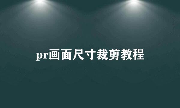 pr画面尺寸裁剪教程