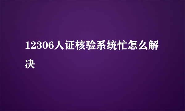 12306人证核验系统忙怎么解决