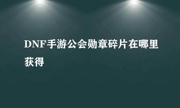 DNF手游公会勋章碎片在哪里获得