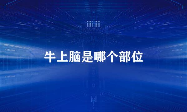 牛上脑是哪个部位