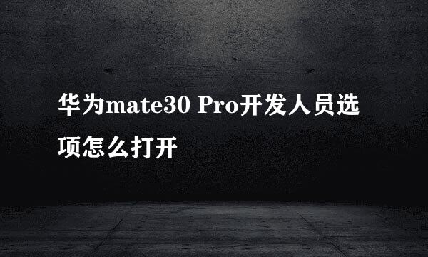 华为mate30 Pro开发人员选项怎么打开