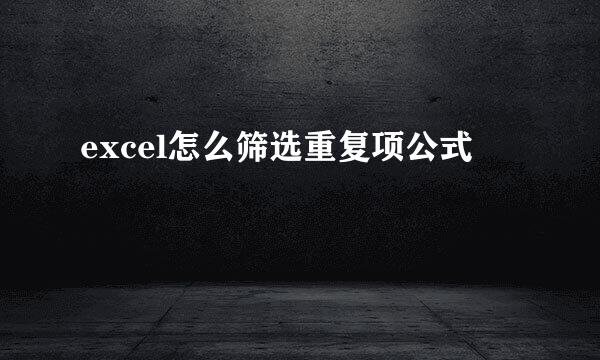 excel怎么筛选重复项公式