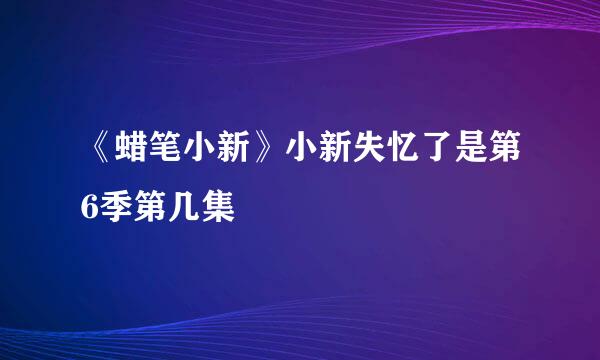 《蜡笔小新》小新失忆了是第6季第几集