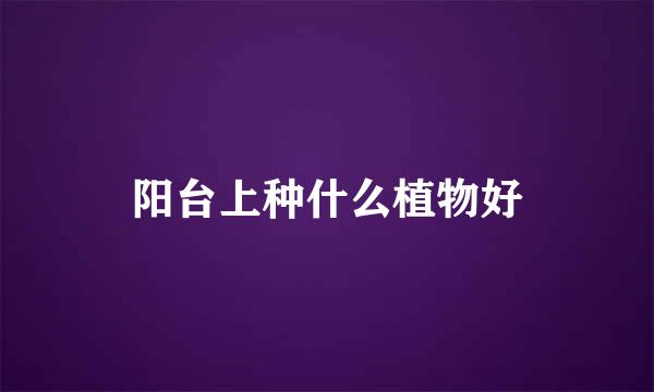 阳台上种什么植物好
