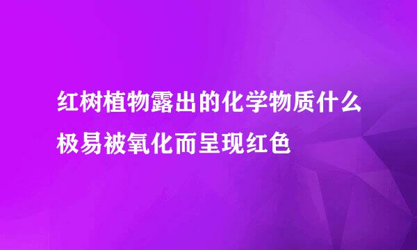 红树植物露出的化学物质什么极易被氧化而呈现红色