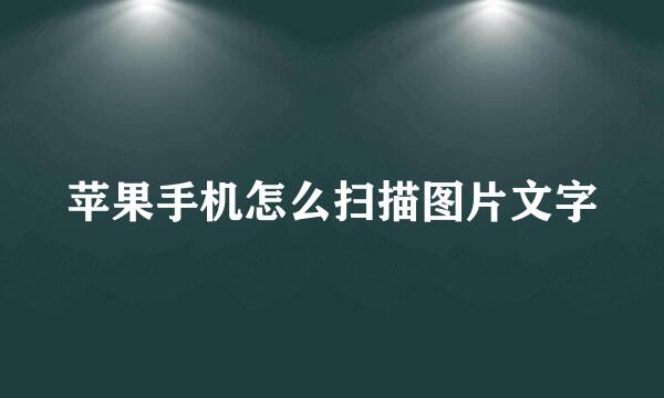 苹果手机怎么扫描图片文字