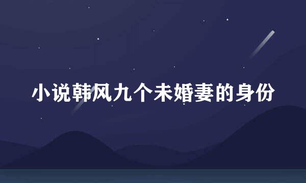 小说韩风九个未婚妻的身份
