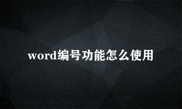 word编号功能怎么使用