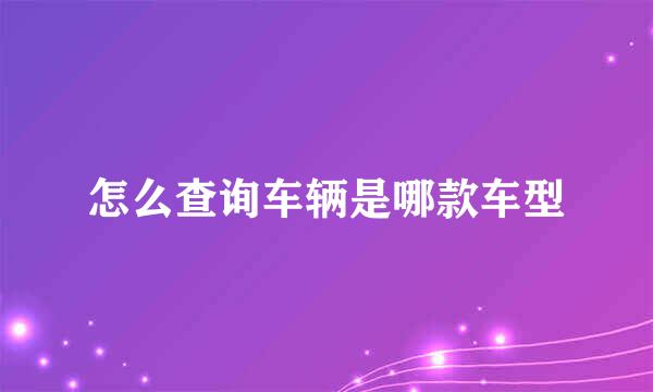 怎么查询车辆是哪款车型