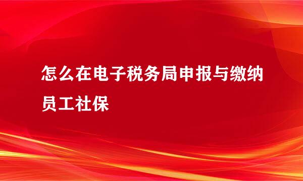 怎么在电子税务局申报与缴纳员工社保