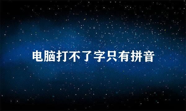 电脑打不了字只有拼音