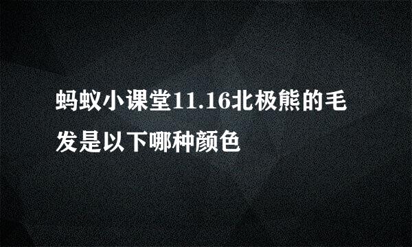 蚂蚁小课堂11.16北极熊的毛发是以下哪种颜色
