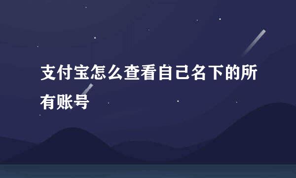 支付宝怎么查看自己名下的所有账号