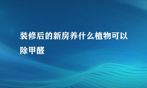 装修后的新房养什么植物可以除甲醛